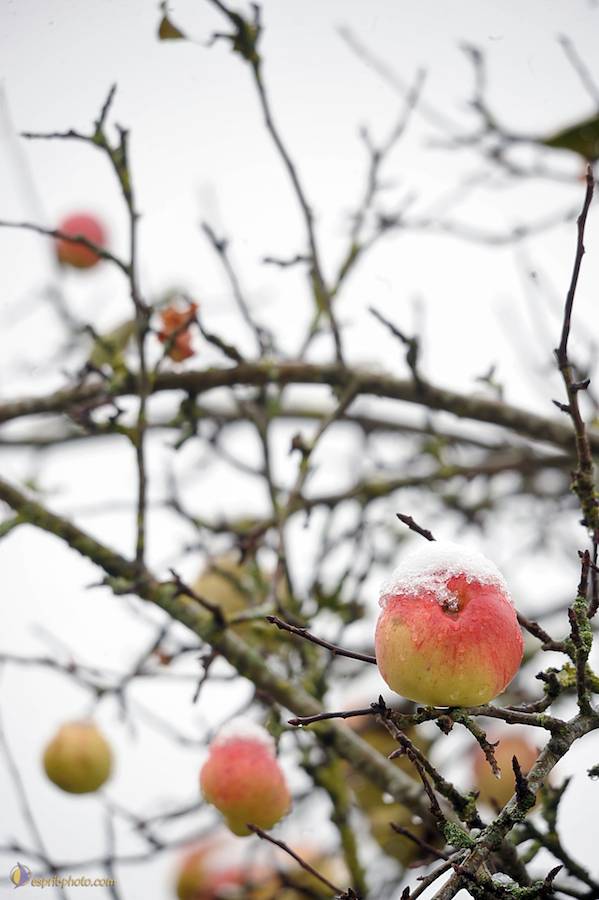 Nom de l'image : D30038093_1_(c)Norbert-JUNG — Description :